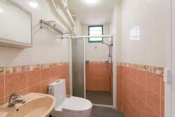 Blk 484 Segar Gardens (Bukit Panjang), HDB Executive #546657891
